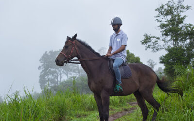 Top 7 Activities to Enjoy at Dream Catcher Resort: The Best Resort in Munnar