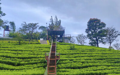 Top Reasons Dream Catcher Resort is the Best Resort in Munnar for Couples